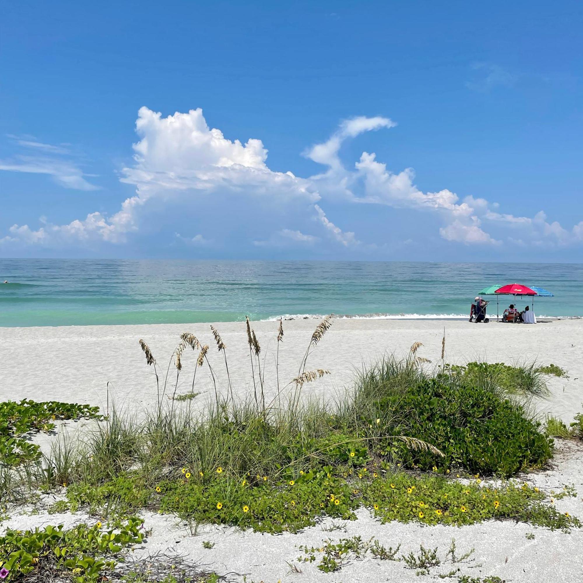Turtle Beach Resort Siesta Key Εξωτερικό φωτογραφία