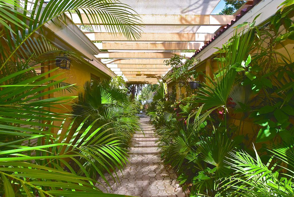 Turtle Beach Resort Siesta Key Εξωτερικό φωτογραφία